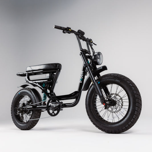 Shorty eBike