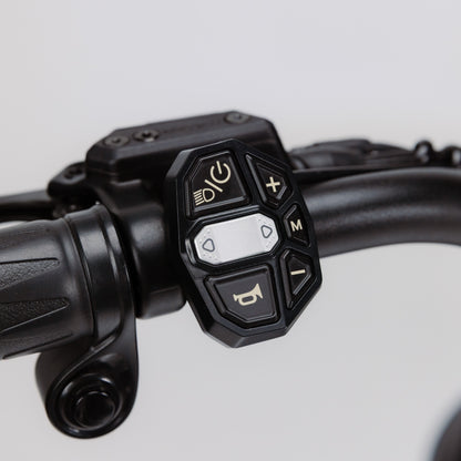 Sumo eBike